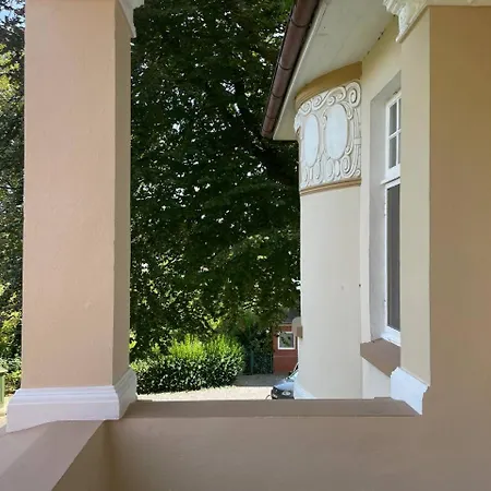Deichvoigt *